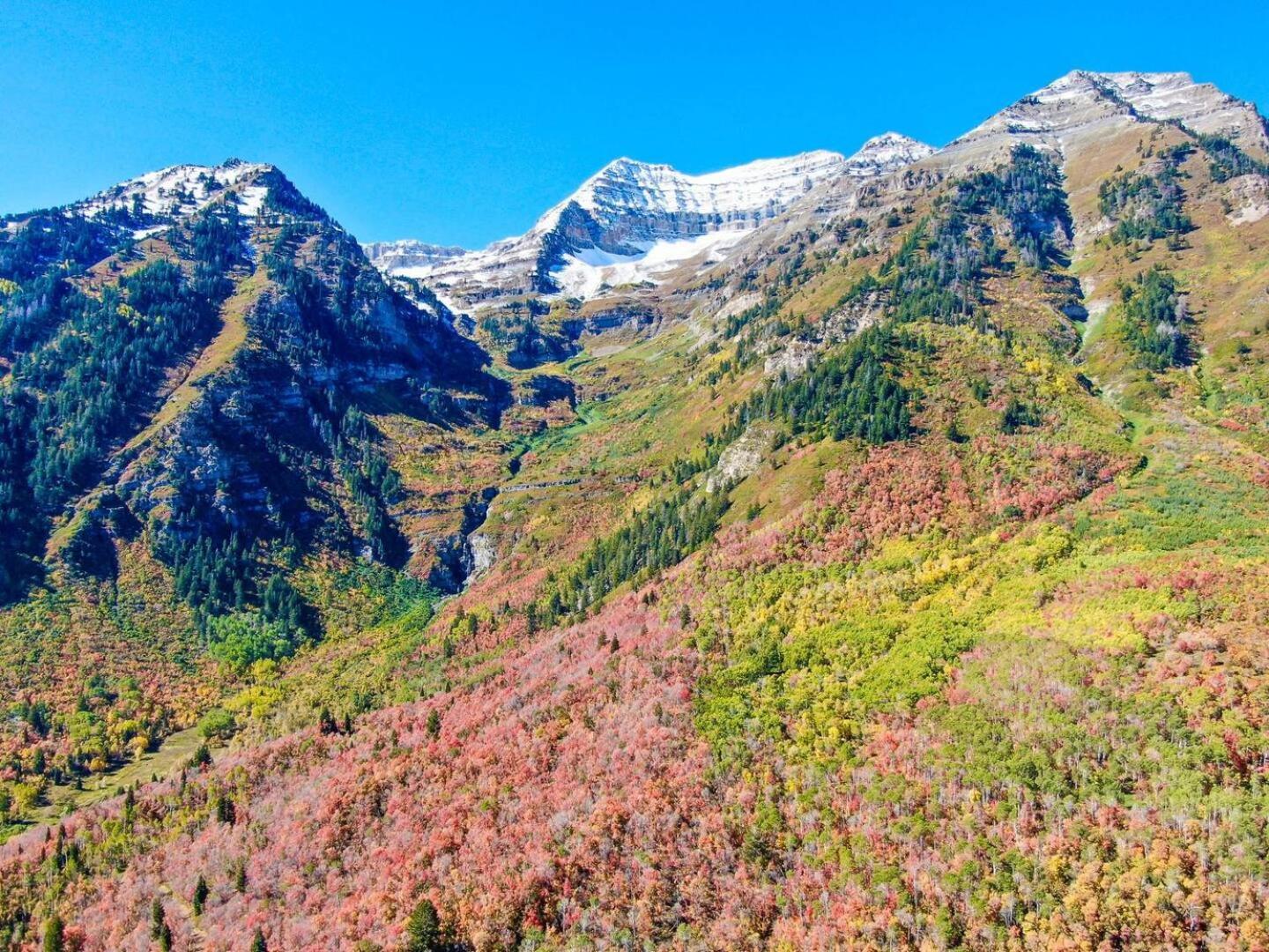Luxury 4Br Mountain Retreat Near Sundance Resort Exteriör bild