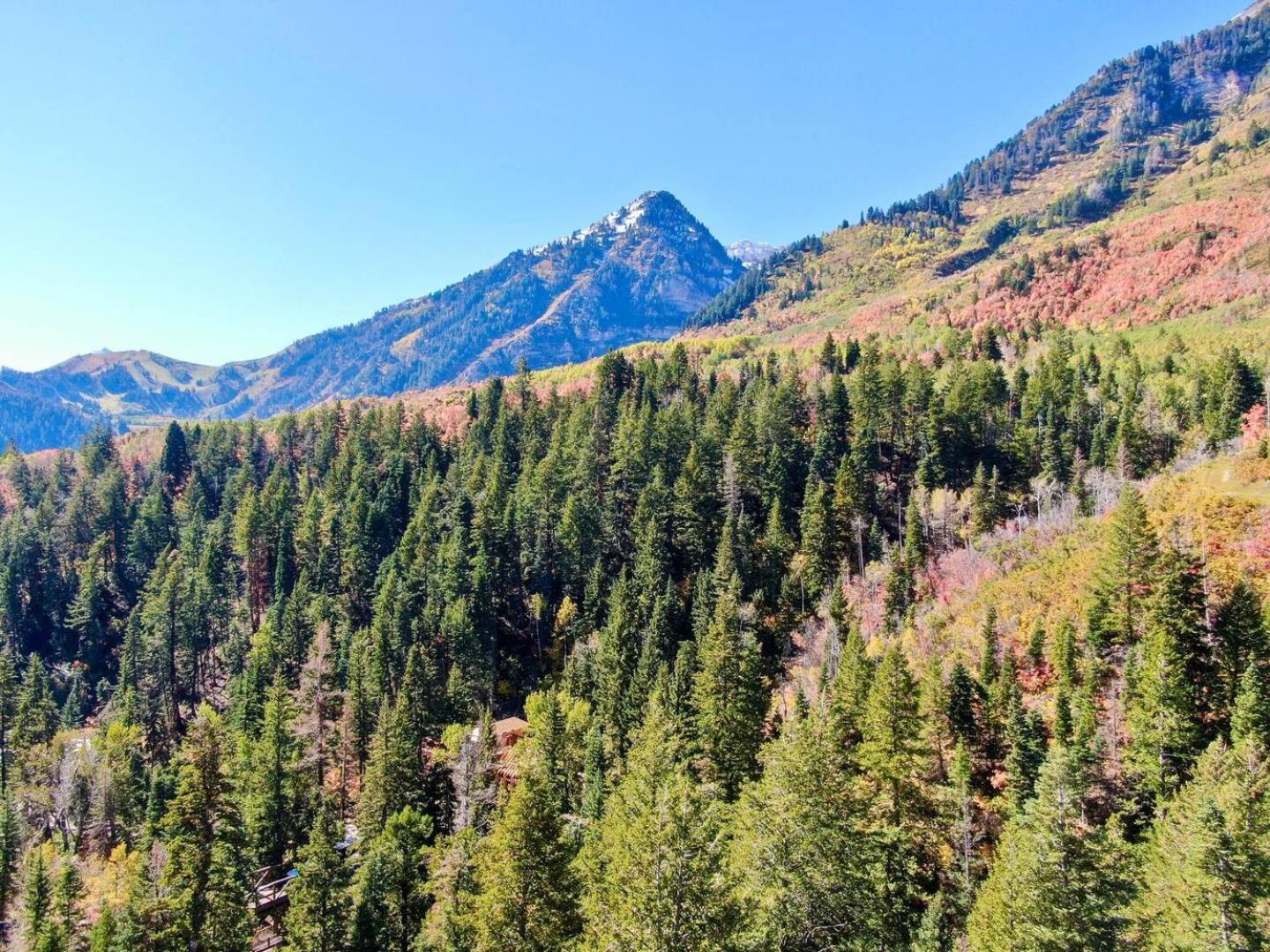 Luxury 4Br Mountain Retreat Near Sundance Resort Exteriör bild
