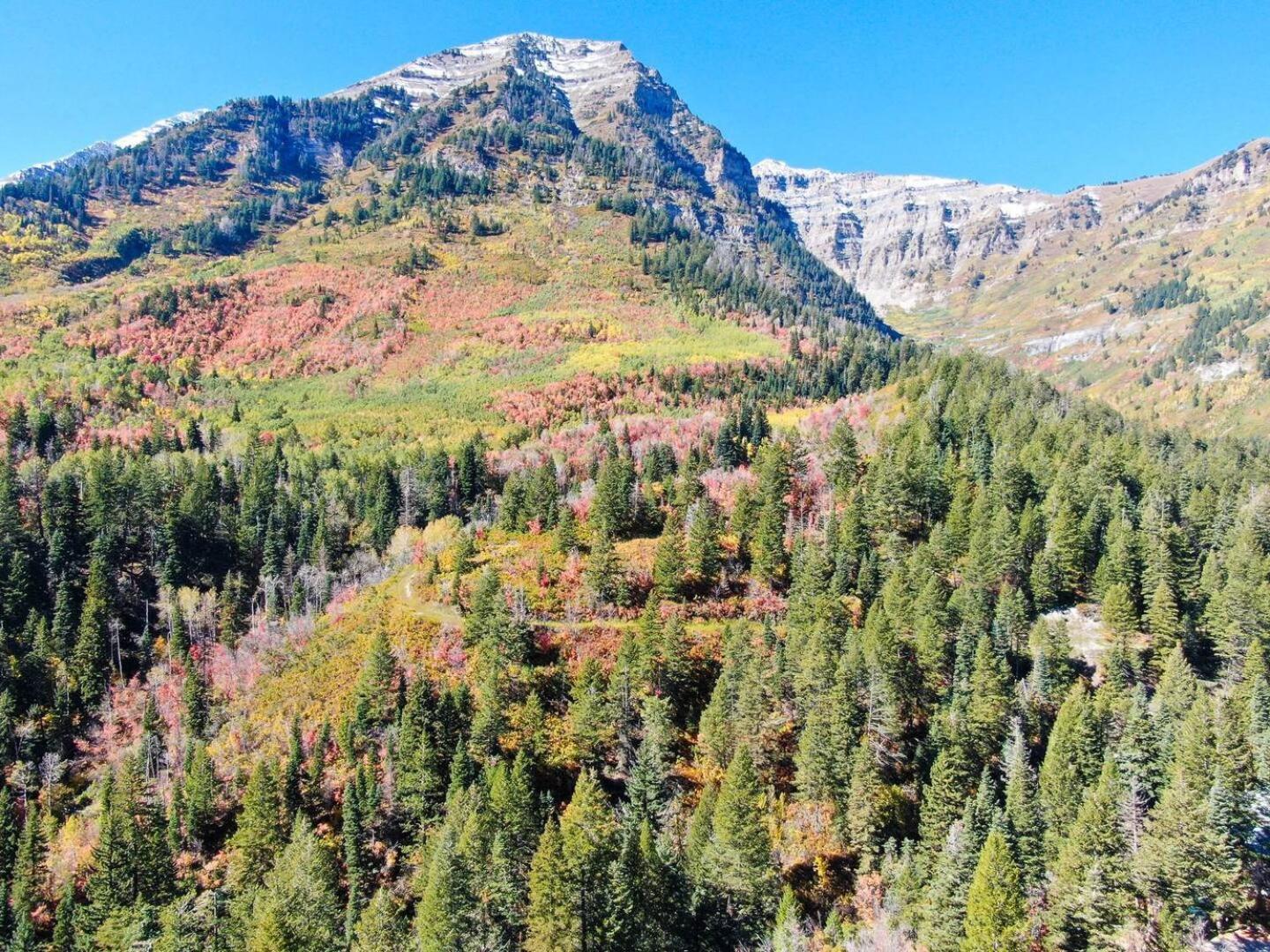 Luxury 4Br Mountain Retreat Near Sundance Resort Exteriör bild